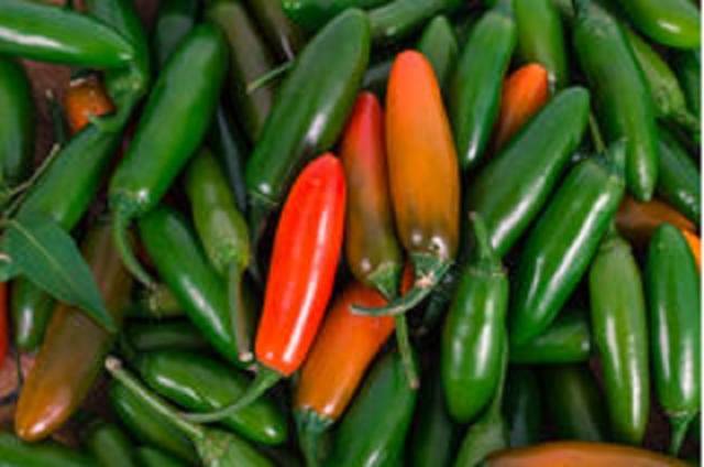 Serrano variety