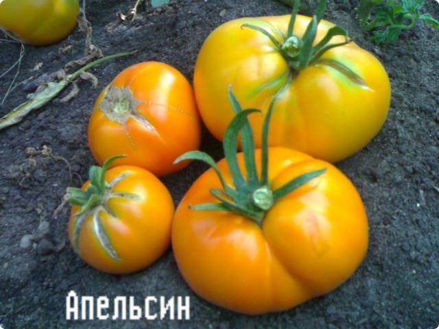 Orange