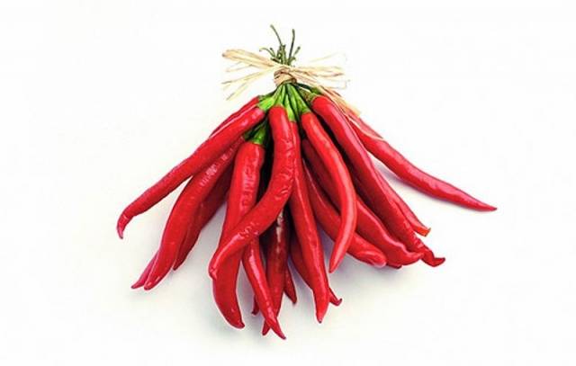 Variedades de pimenta picante para a região de Moscou