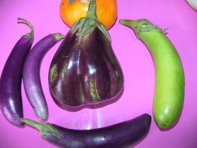 פלמינגו ורוד