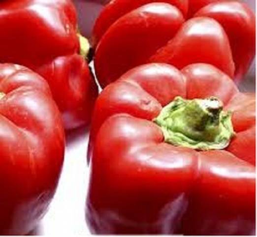 Quadro Red