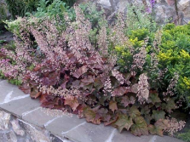 De flors petites