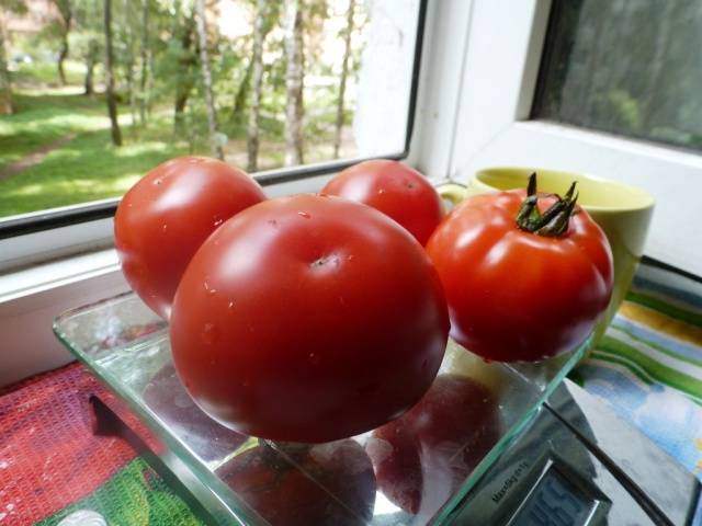Sello de frutos grandes
