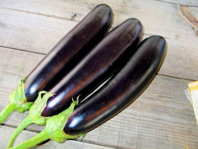 Roxo comprido