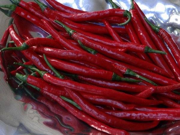 Variedades de pimenta picante