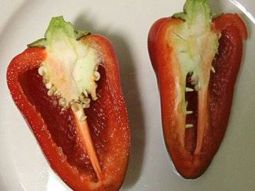 Variedad de grasas