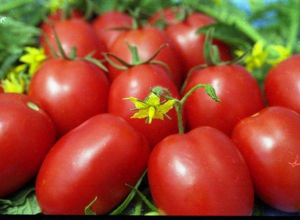 Sorpresa en la habitación