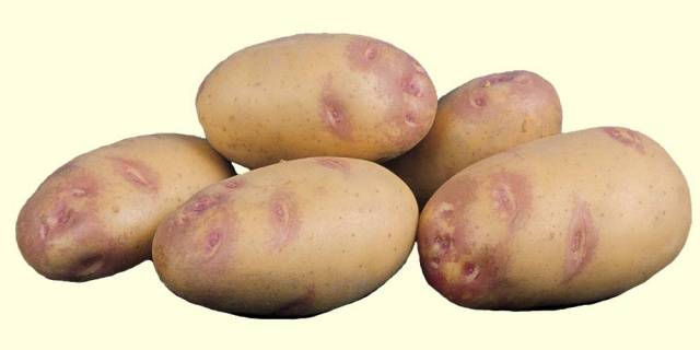 Пикасо