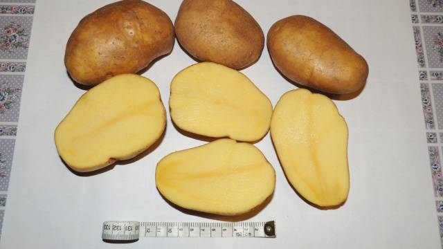 Tuleyevsky