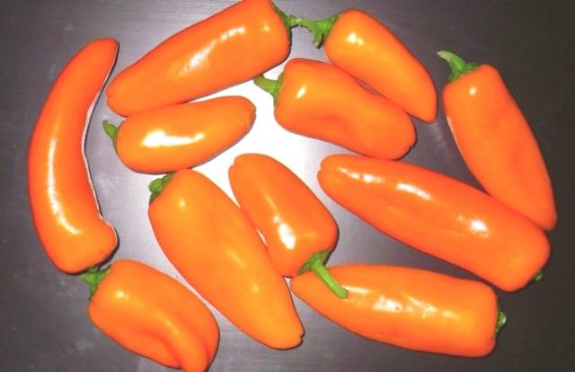  laranja
