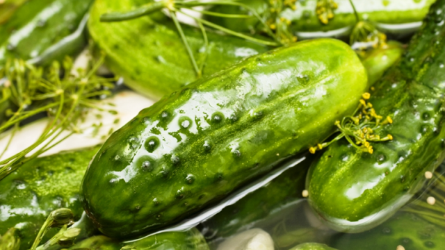 Cómo cocinar pepinos ligeramente salados con salmuera fría.