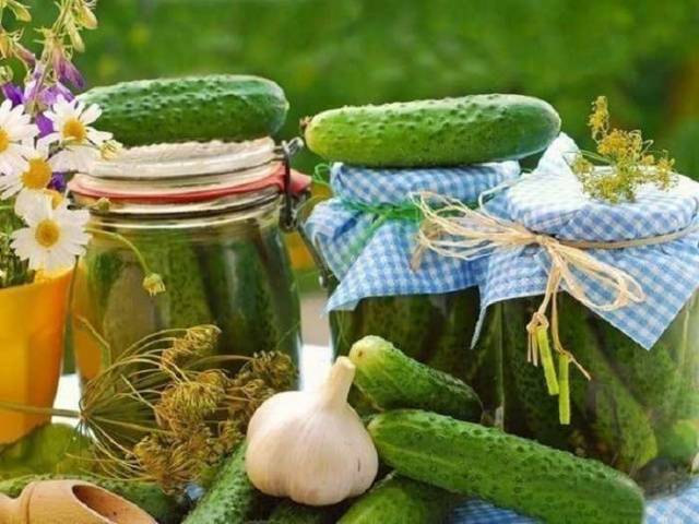 Инстант хрскави рецепт са сланим краставцима