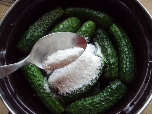 Dưa chuột muối nhẹ ăn liền