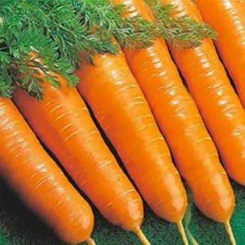 Vitamín