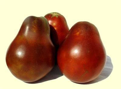 Trufa japonesa negra
