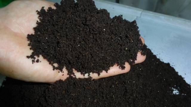 Biohumus