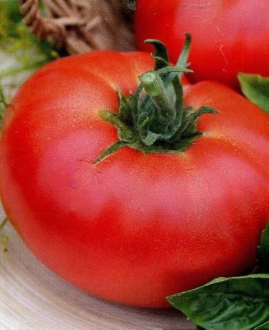 Tomaten Openwork