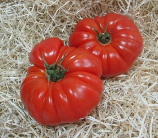 Marmande