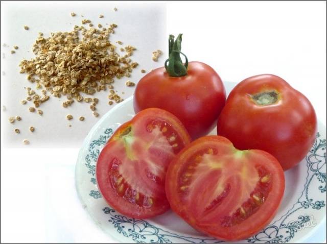 Cultiu de plàntules de tomàquet a casa
