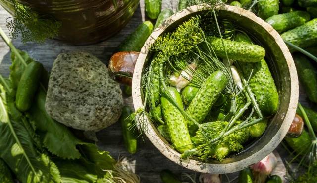 Pepinos levemente salgados