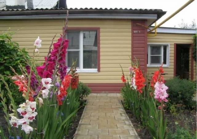 Gladioli v krajinářském designu