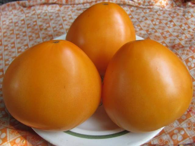 Goldene Kuppeln