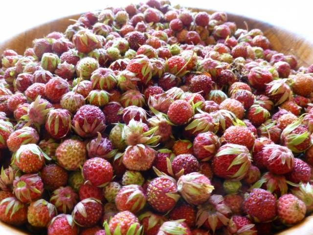 Walderdbeermarmelade: Rezept