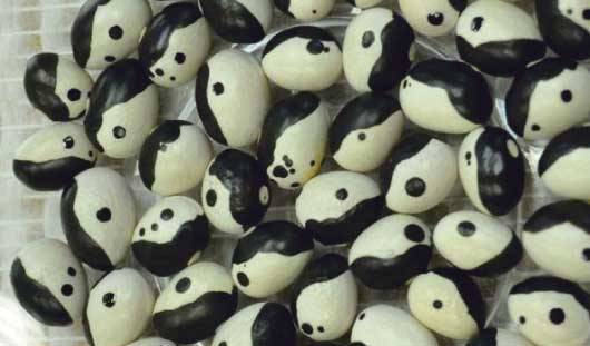 Feijão yin-yang