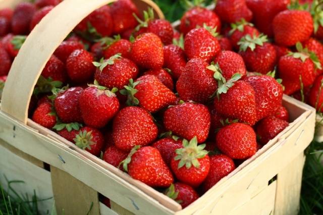 Mermelada de fresa para el invierno: recetas.