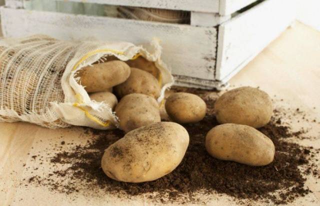 Variedades de batata precoce e super precoce: descrição, fotos, comentários