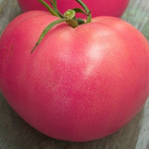 Mejillas rosadas