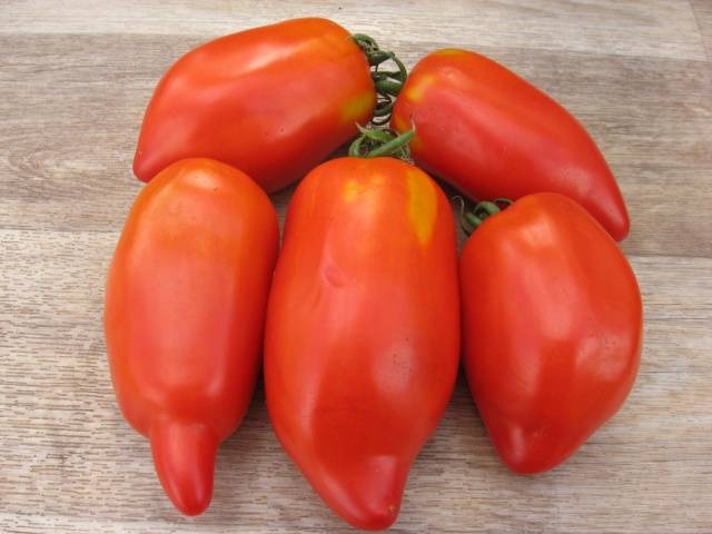 Pimienta F1, Huerta rusa