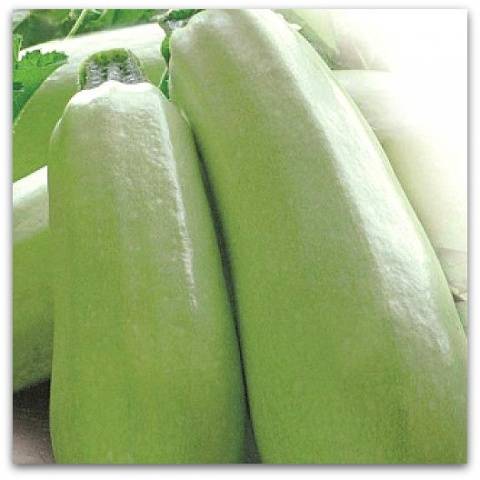 Chaklun