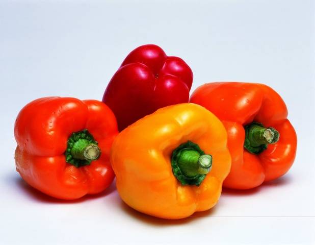 Diseases of pepper seedlings: photos and their treatment