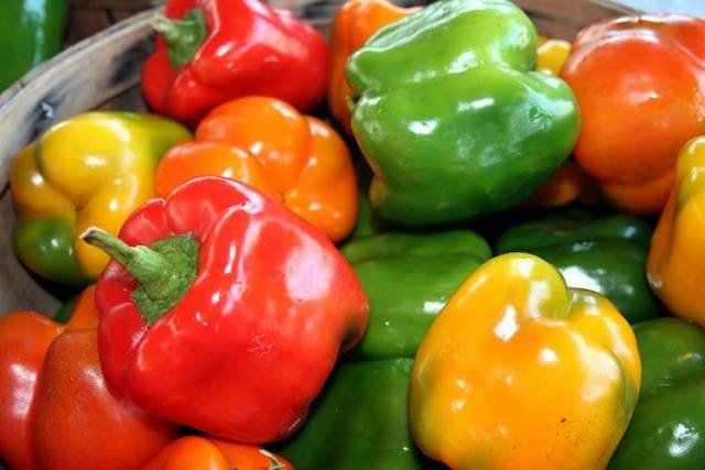 Mergulho de pimenta: como e quando mergulhar mudas