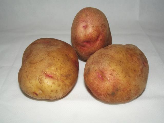 Detskoselsky