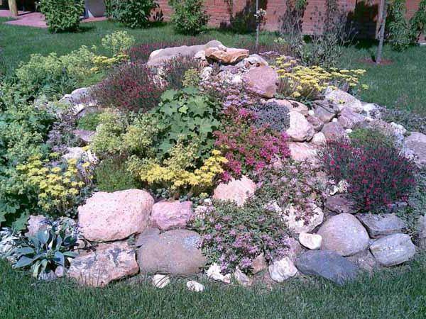 Mehrjährige Blumen für den Garten sind unprätentiös langblütig