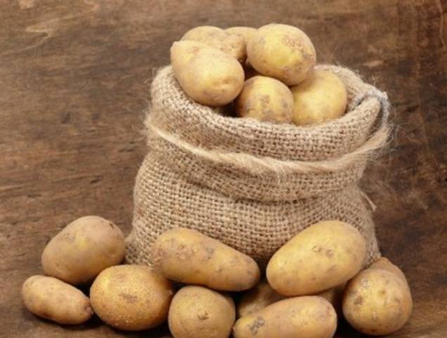 Procesamiento de papas antes de plantar