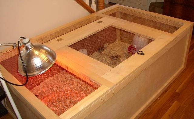 DIY pulyka brooder