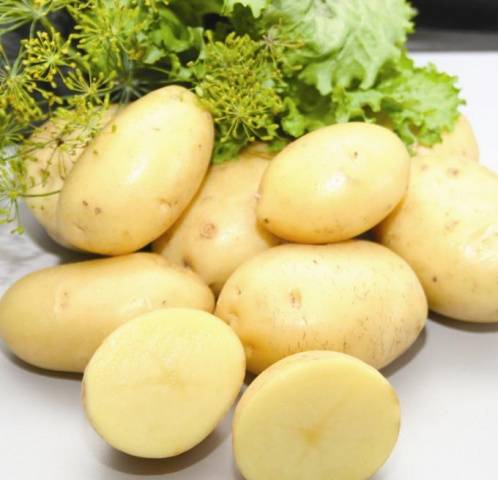 Variedades de batata precoce e super precoce: descrição, fotos, comentários