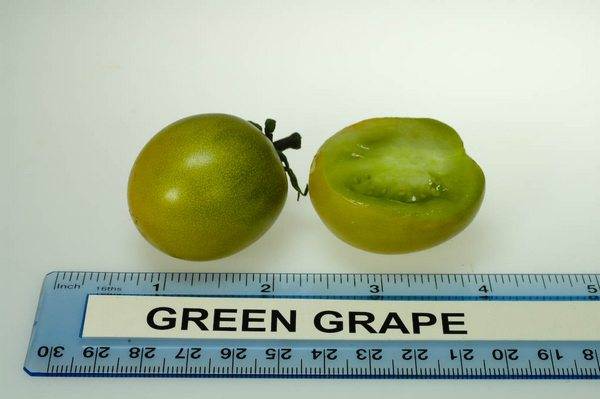 Uvas verdes