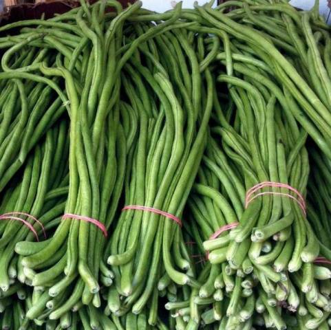 Σπαράγγι Yardlong