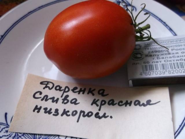 Daryonka