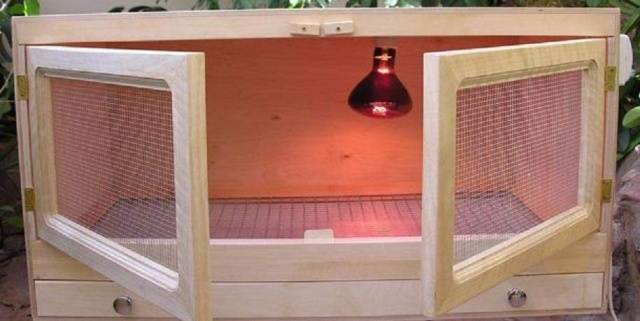 DIY pulyka brooder