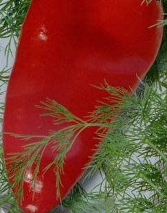 Rote Schaufel