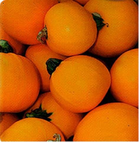Mandarinente