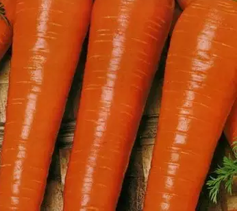 Rojo espeso