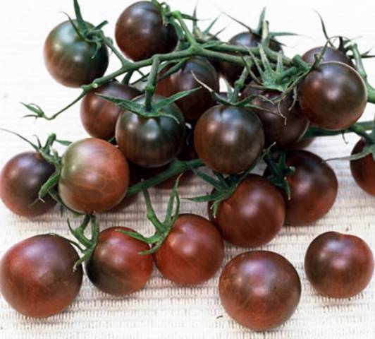 Black cherry
