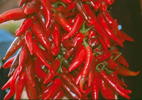 Zázračná paprika