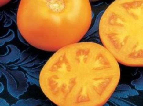 Mandarinente